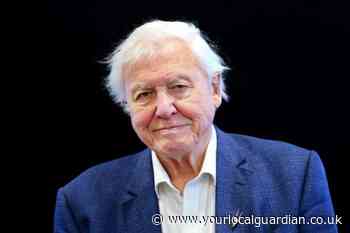 BBC's Mammals: How to watch David Attenborough's new series