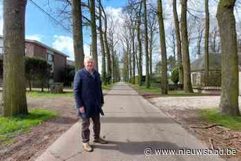 Gemeente koopt Eikendreef: “Beste zorgen voor 138 eiken”