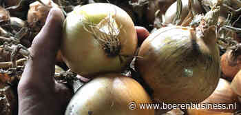 Spelers op uienmarkt hebben gevoel voor drama