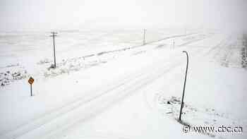 Snowfall warnings in place amid snowy start to Easter long weekend in Sask.