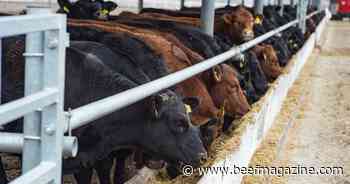 EMIT LESS Act garners bi-partisan applause