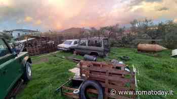 Un cimitero di auto abbandonate in un terreno privato