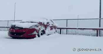 Spring snowfall in southern Sask. causes havoc for highway drivers