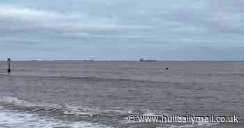 Extensive searches take place after 'man falls overboard' into Humber
