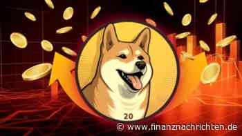 Dogecoin steigt: Wale treiben Preis! Ziel $0.3?