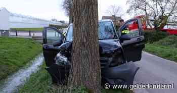 Gewonde nadat bestelbus een boom ramt; marechaussee doet onderzoek