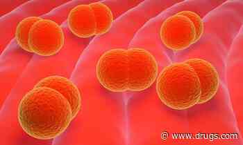 CDC Reports Rise in Invasive Serogroup Y Meningococcal Disease