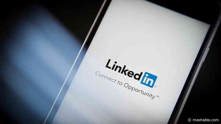LinkedIn is testing a TikTok-like video feed