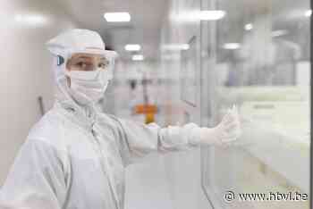 Meer Limburgse bedrijven vragen subsidie om te groeien: “Als jonge ondernemer telt elke euro”