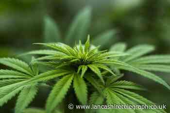 Haslingden woman caught driving high on cannabis three times