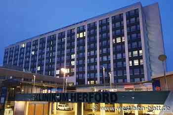 40 Wildblumenarten sollen das Klinikum Herford bunter machen