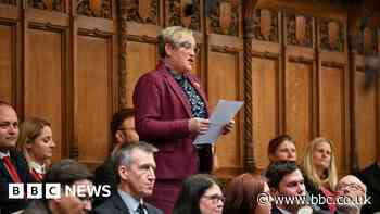 Amid abuse, apathy and mistrust, who becomes an MP?