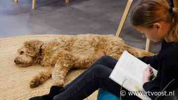 Bijzondere hulp op basisschool de Esch in Oldenzaal: "De kinderen vinden hem geweldig"