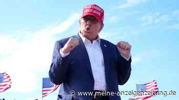 Suche nach „Running Mate“: Wer wird an Trumps Seite kämpfen?