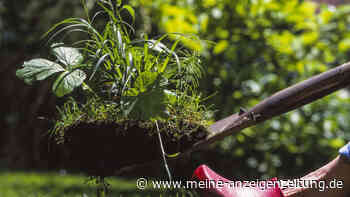 Gartenarbeit und Wäsche liegen lassen – diese Bräuche gelten traditionell an Ostern