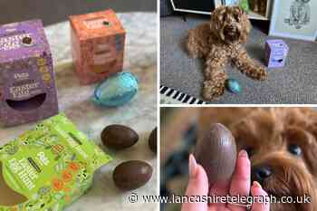 Pets at Home Easter eggs for dogs made my pet's year