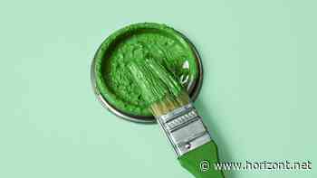 Green Claims: Was die neue EU-Richtlinie für nachhaltige Werbeclaims fürs Marketing bedeutet