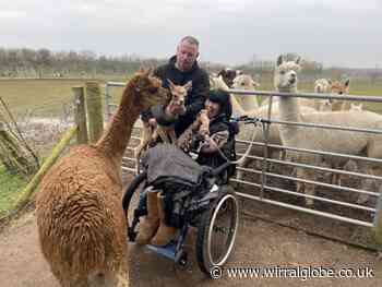 The Wirral alpaca farm set up to 'help the community'