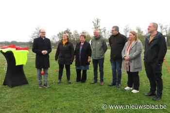 Grootste zwembadencomplex van Vlaanderen komt in domein van Hofstade