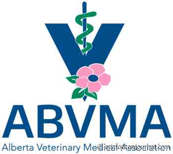 Edmonton area veterinarian cleared of wrongdoing in cat's death