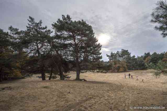 Publieke consultatieronde natuurbeheerplan Galbergen – Buitenheide
