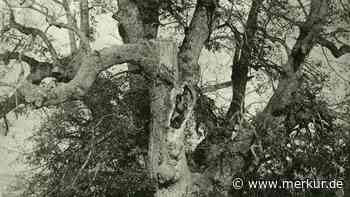 Als Zaubertinte Freisinger Ostereier zierte: So wurde vor 150 Jahren in Freising Ostern gefeiert