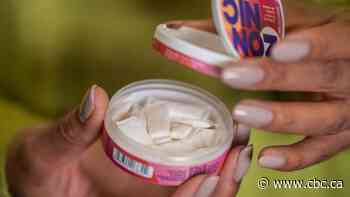 Despite the harm, young people are using nicotine pouches. Experts say it's giving them déjà vu