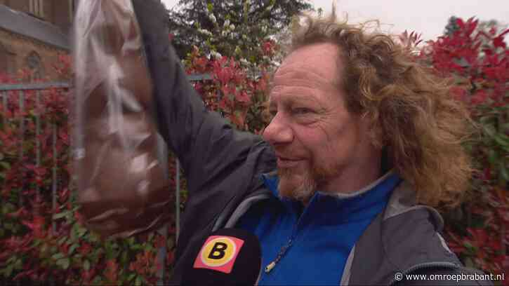 Paashazen zoeken voor mensen met weinig geld en iedere haas is prijs