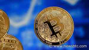 Prepping For $100,000: Bitcoin Shark And Whales Spend Over $18 Billion To Buy BTC