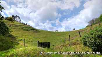 Ausflugsziele im Ruhrgebiet: Diese Wanderungen sind auch für Familien geeignet
