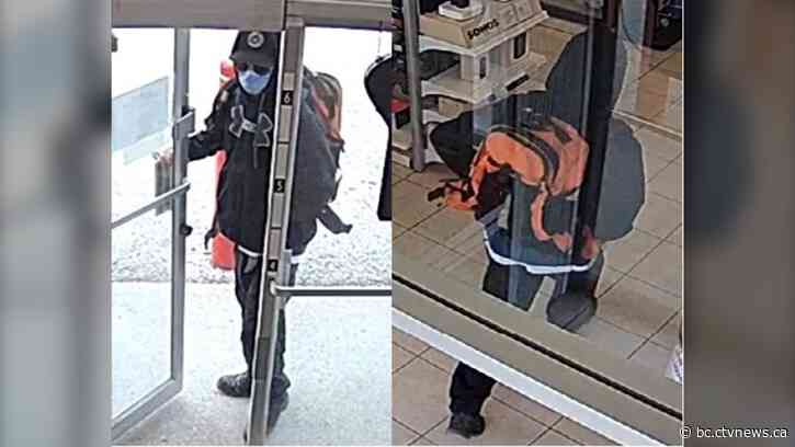 Man stole $4,000 worth of products from B.C. electronics store, police say