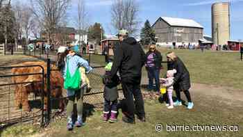 Chappell Farms spring festival returns