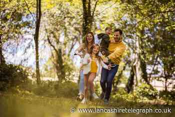 5 woodland and riverside walks to do in Lancashire