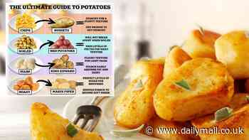 The ultimate guide to potatoes: Why Maris Pipers are best for roasties and you should NEVER use King Edwards in a stew, according to scientists