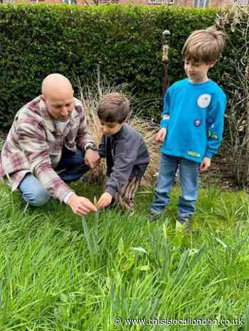 Wildlife gardening project in Hampstead Garden Suburb