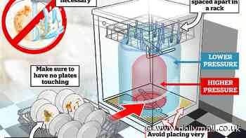 How to load a dishwasher, according to science: Experts reveal exactly how to pack your crockery - and why you should NEVER pre-rinse dishes