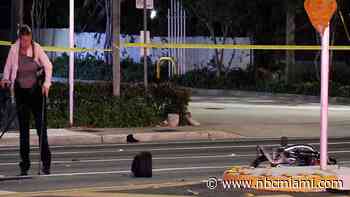 Driver arrested for fatal hit and run in Fort Lauderdale appears in court