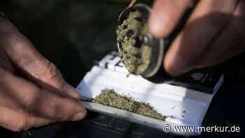 Anbau, Höchstgrenze, Regeln für Autofahrer: Diese Cannabis-Regeln gelten ab sofort