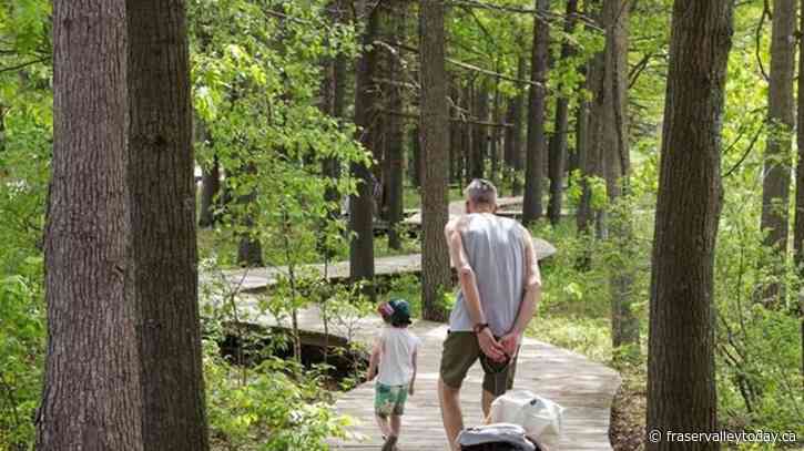 Small forest fire put out in Oka provincial park as Quebec fire season starts early