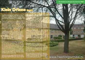 Geschiedenis van Hengelo door Gerrit ter WelleKlein Driene Deel 2