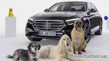 MBUX Bark Assist: Deshalb kommt Mercedes beim Sprachassistenten jetzt auf den Hund