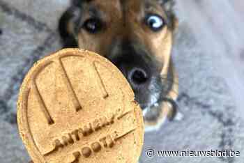Mad(e) in Antwerpen: Antwerpse handjes voor hondjes