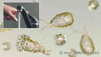 Warning that brain-eating parasite with 99% death rate might be making its way into British water