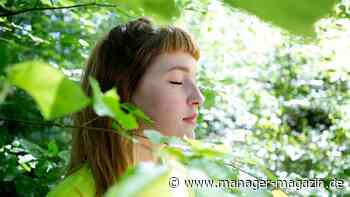 Topmanager und Dopamin: Warum Erfolg uns nicht zufrieden macht