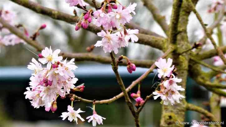Wil je eropuit vandaag? Het weer lijkt mee te zitten