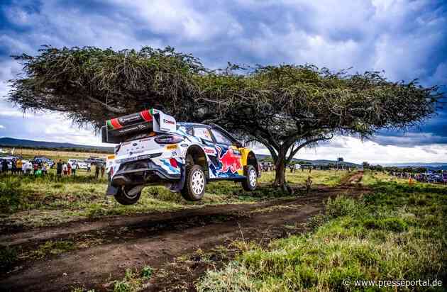 Platz drei auf den harten Pisten Kenias: Adrien Fourmaux / Alex Coria fahren bei der Safari-Rallye erneut aufs Podest