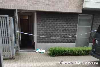 Man (62) brengt vrouw (43) om het leven in Beerzel: dader onderschept in Nederland