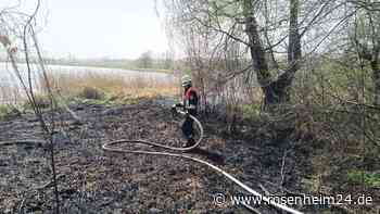 Großeinsatz am See – Feuer im Schilfgürtel am Strandbad Tengling