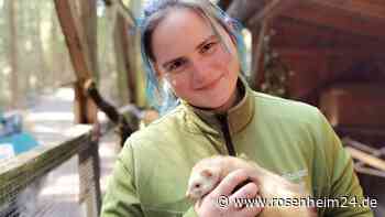 „Tiere bringen mir so viel Vertrauen entgegen“: Unterwegs mit Sabrina Sax (28) im Wildpark Oberreith