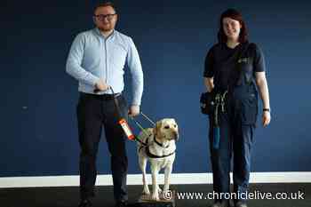 'I visited Guide Dogs Newcastle and got to try out dog training'